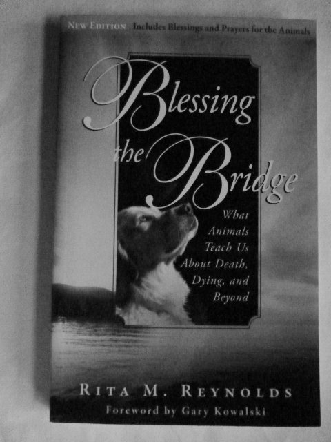 Blessing the Bridge by Rita M. Reynolds